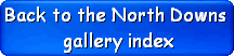 Back to the North Downs gallery index